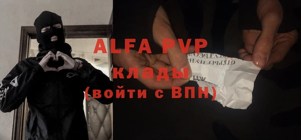 стаф Сосновый Бор