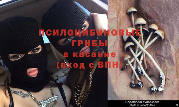 кокаин Сосновка
