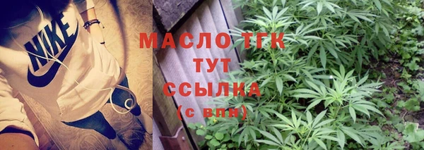 стаф Сосновый Бор